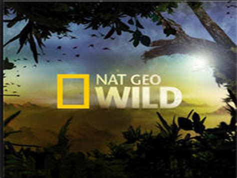 National Geographic WILD .